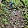 IMG_3510.jpeg